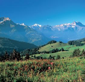 Matterhorn & Mont Blanc